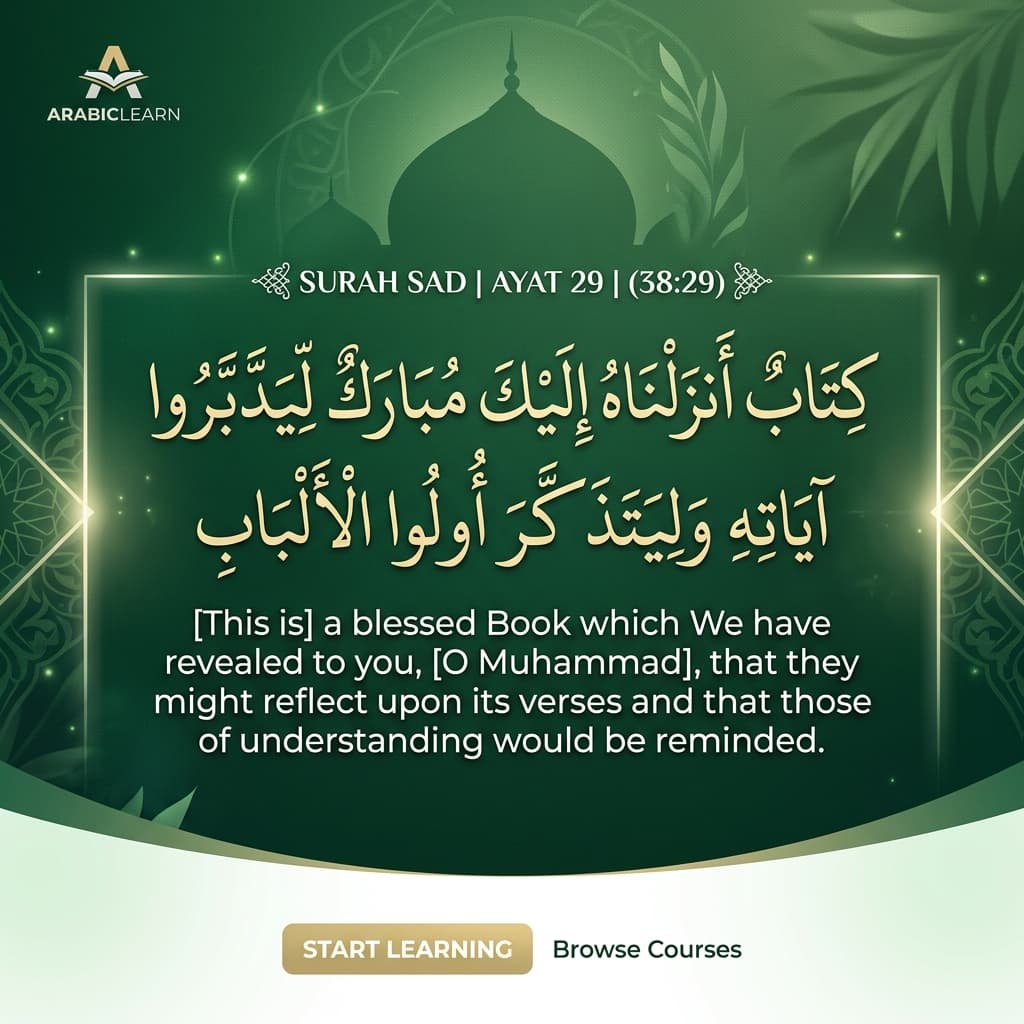 Learning Arabic at Oasis of Arabic